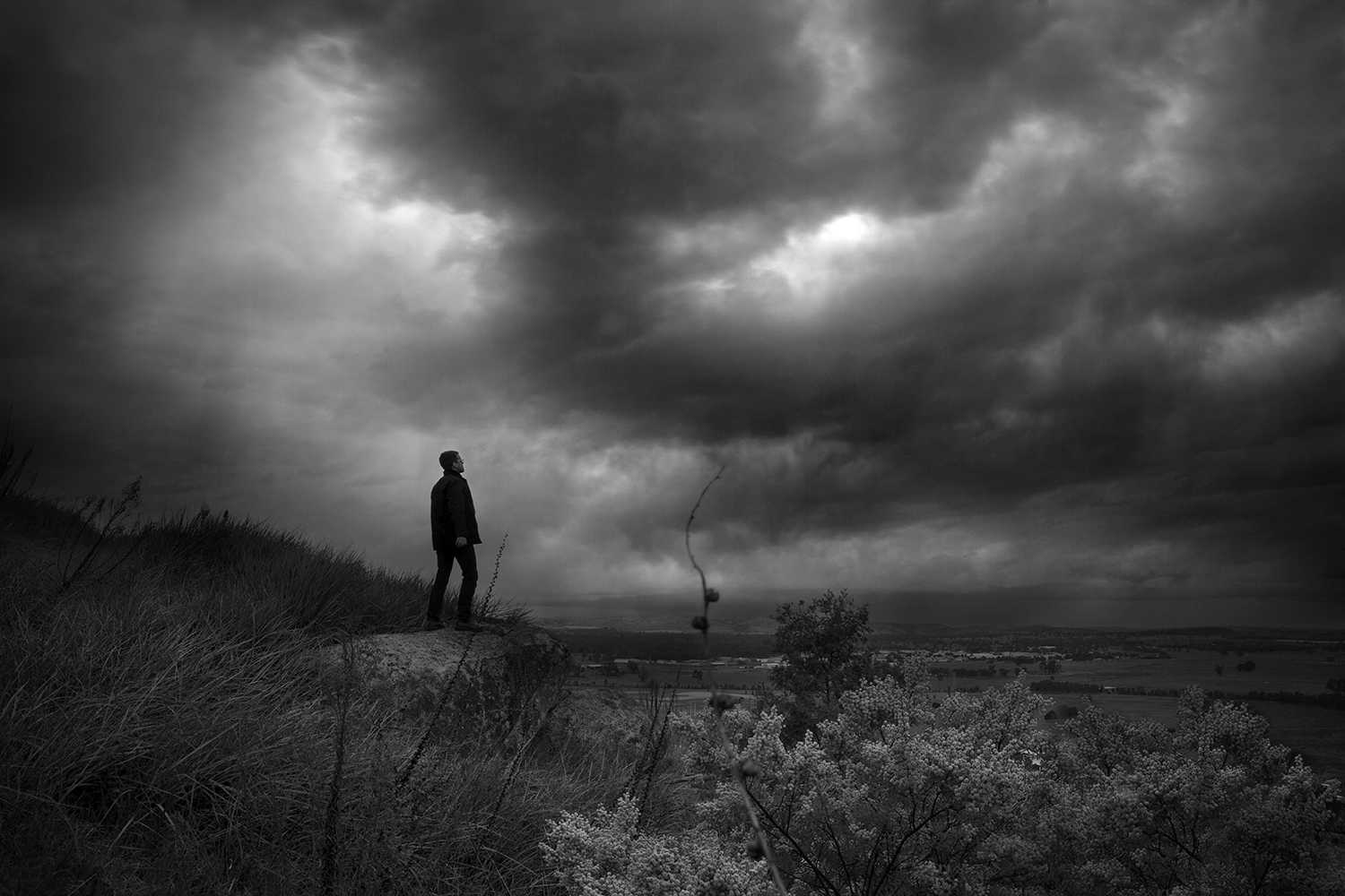 Cause and effect literary essay